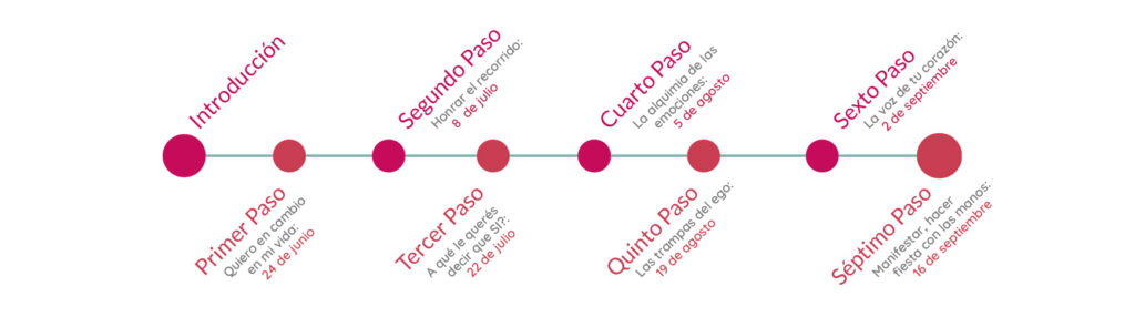 Estructura de 7 pasos